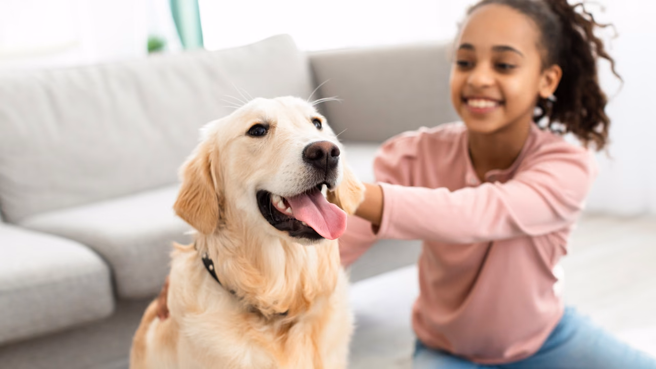 Girl petting her golden retriever on the sofa, ESA letter in Akron, OH