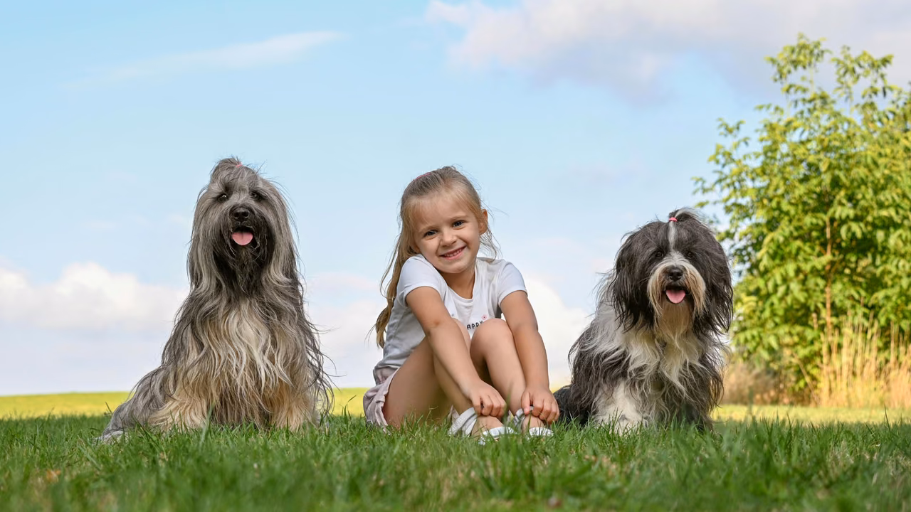 Girl sitting on the grass between two shaggy sheepdogs, ESA letter in Alabama