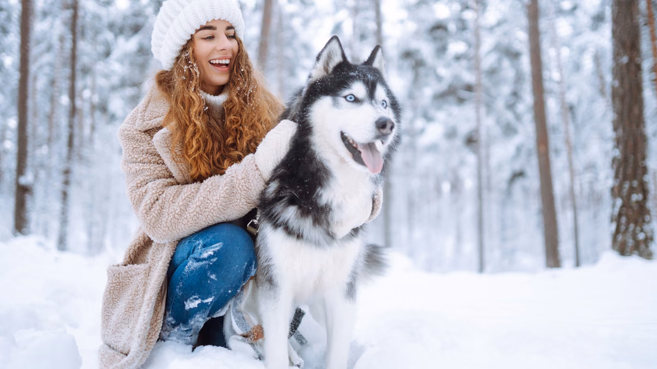 Woman with her husky in the snow, ESA letter in Alaska