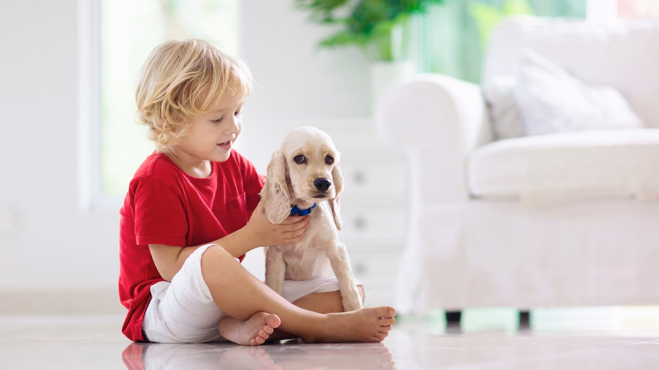 Boy sitting on the floor with his spaniel puppy, ESA letter in Amarillo, TX