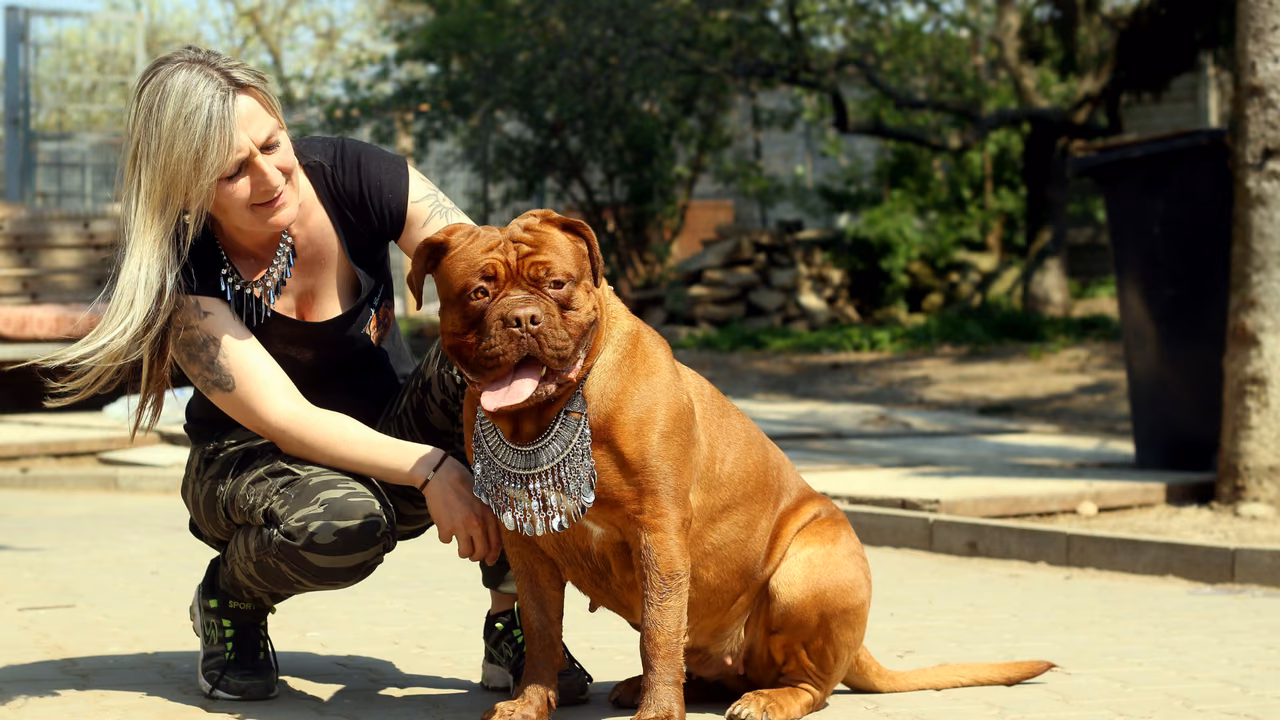 Woman crouching beside her mastiff, ESA letter in Augusta, GA