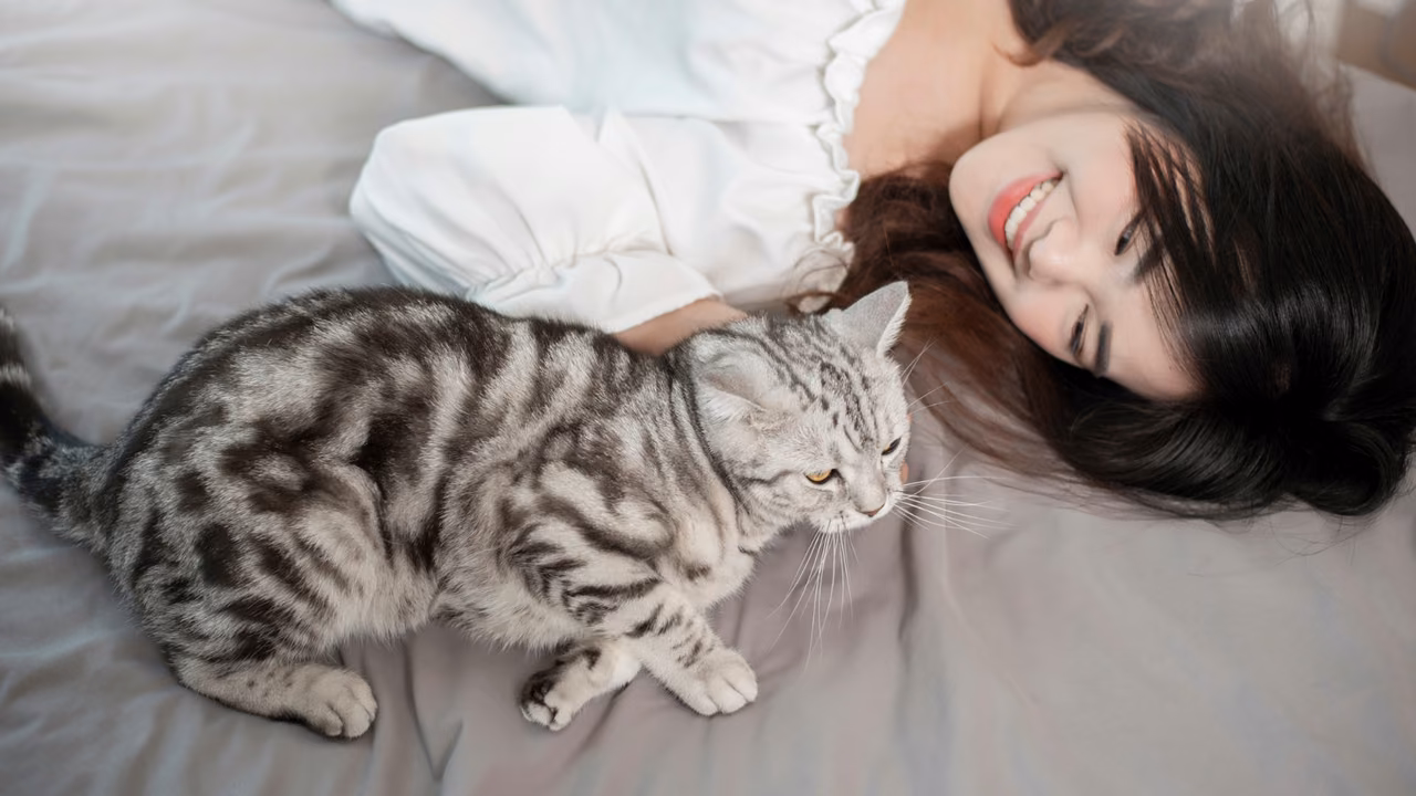 Woman smiling beside her silver tabby cat on the bed, ESA letter in Bridgeport, CT