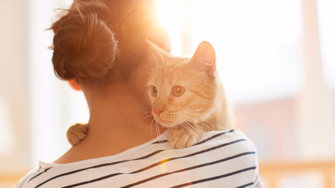 Woman holding her ginger cat on her shoulder in the sunlight, ESA letter in Burlington, VT