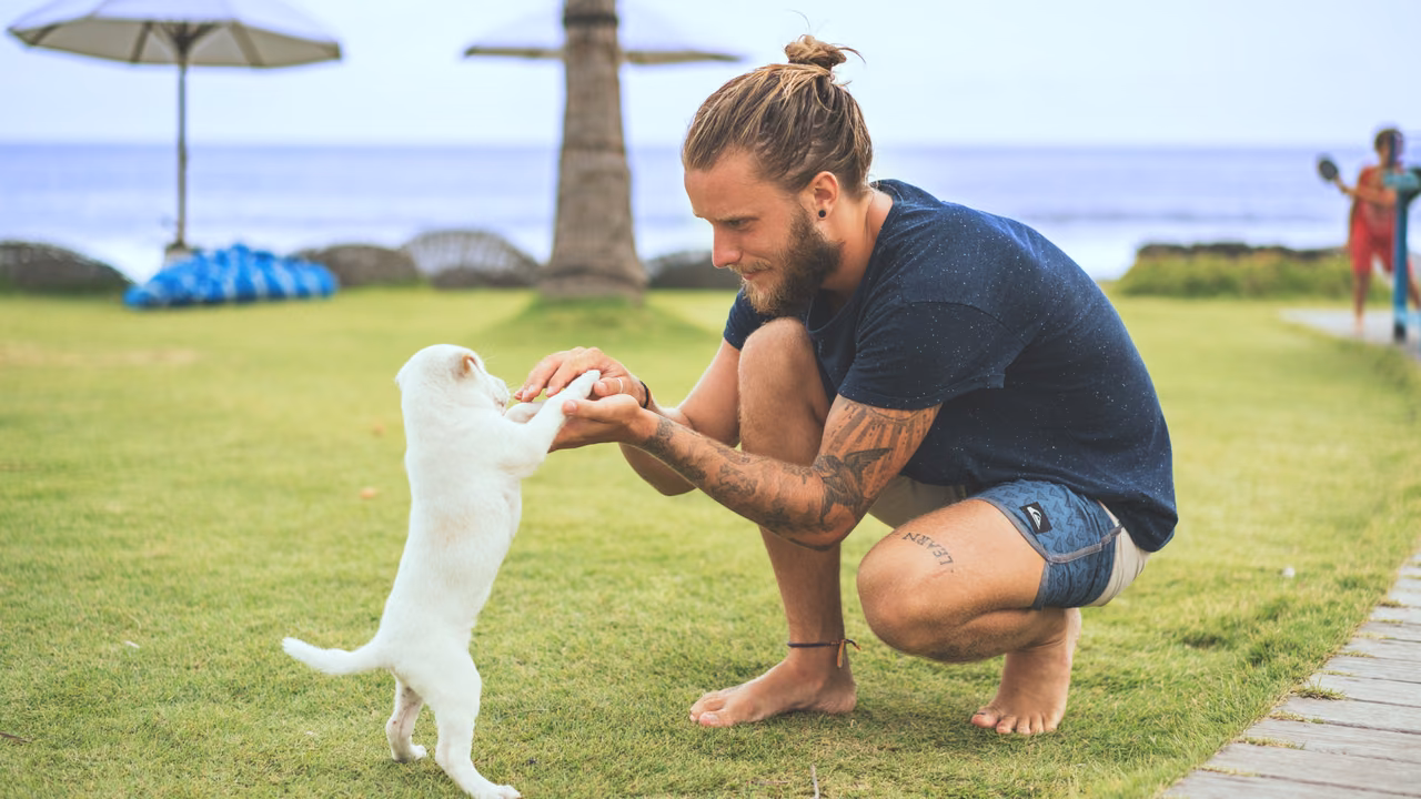 Man playing with a white puppy on a lawn by the beach, ESA letter in California