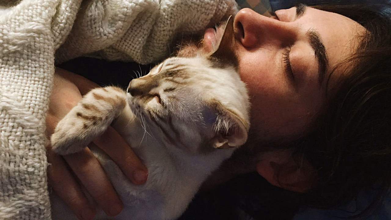 Woman cuddling her sleepy cat, ESA letter in Charleston, WV
