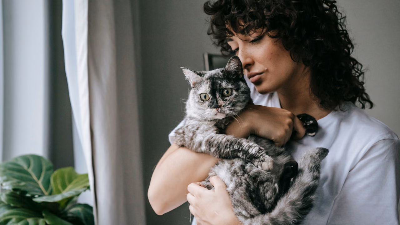 Woman cuddling her grey cat at home, ESA letter in Charlotte, NC
