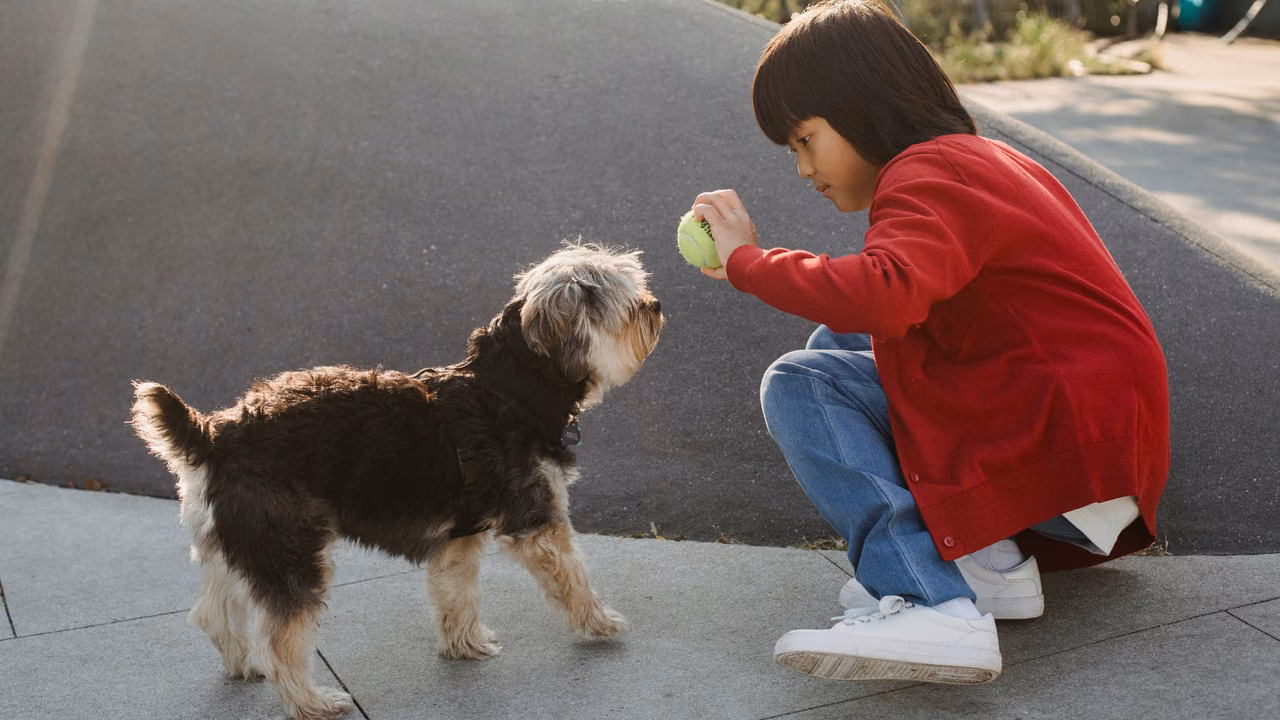 Boy playing ball with a small dog on the sidewalk, ESA letter in Chesapeake, VA
