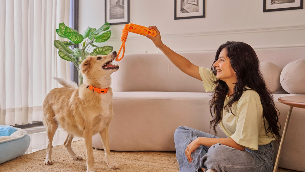 Woman playing tug with her dog in the living room, ESA letter in Chula Vista, CA