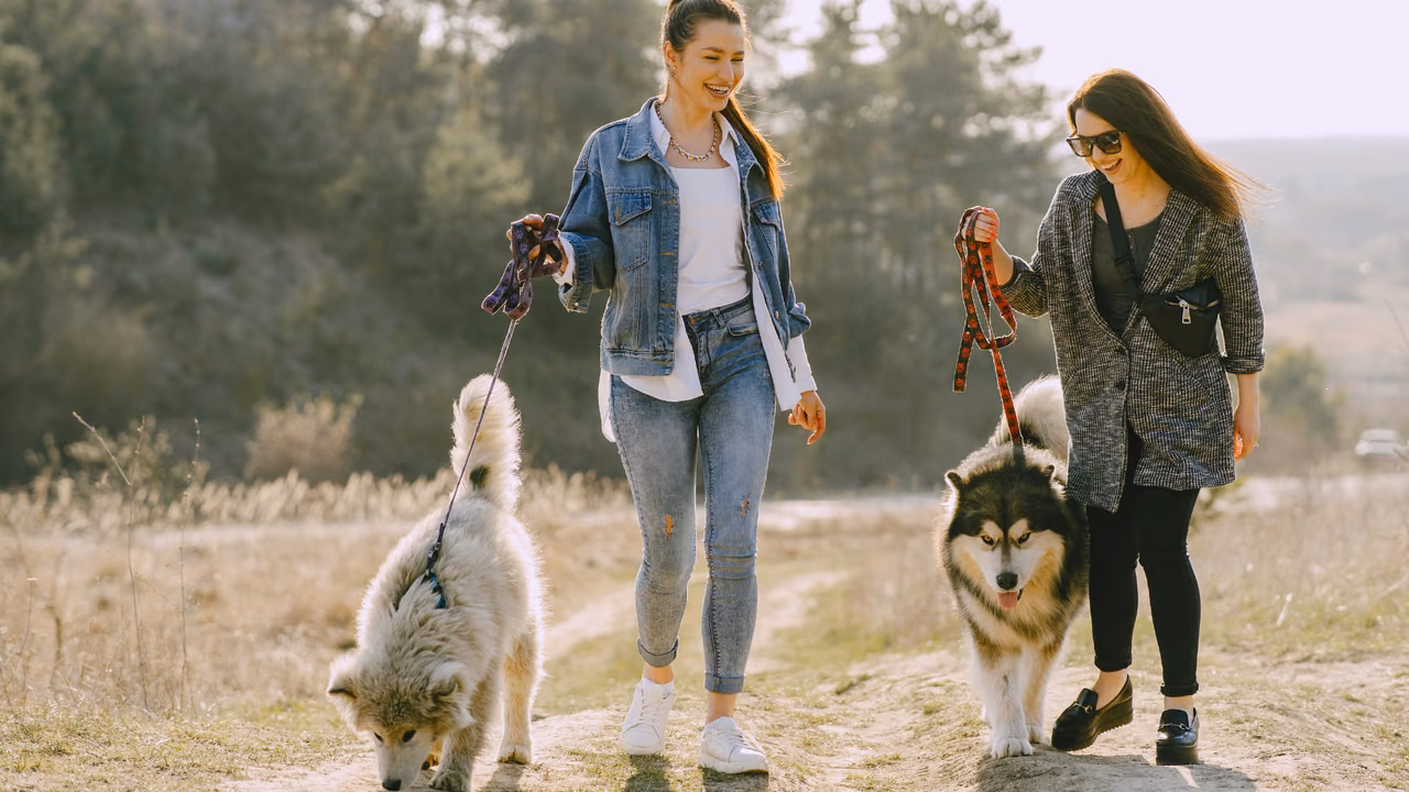 Two women walking their huskies on a country trail, ESA letter in Colorado