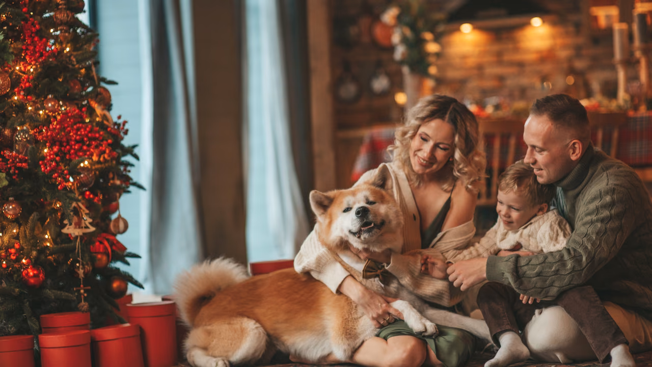 Family relaxing with their Shiba Inu by the Christmas tree, ESA letter in Connecticut