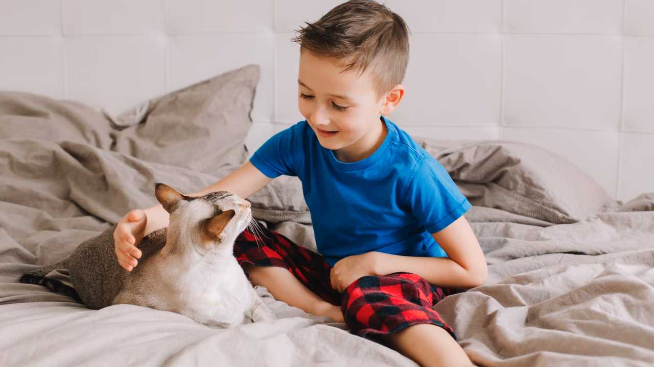 Boy petting his cat on the bed, ESA letter in Fargo, ND