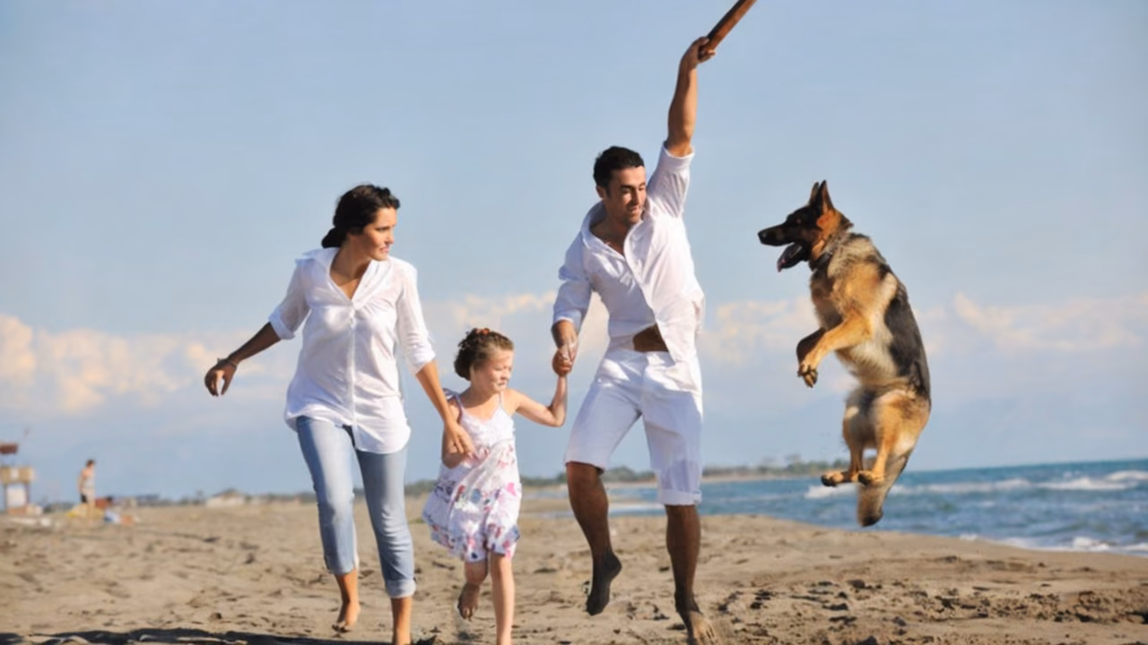 Family running on the beach with a jumping German shepherd, ESA letter in Florida