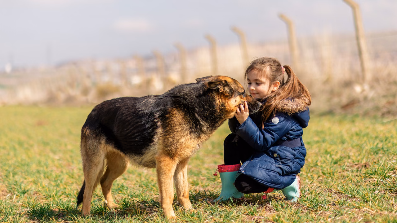 Girl hugging a shepherd mix in a field, ESA letter in Frisco, TX