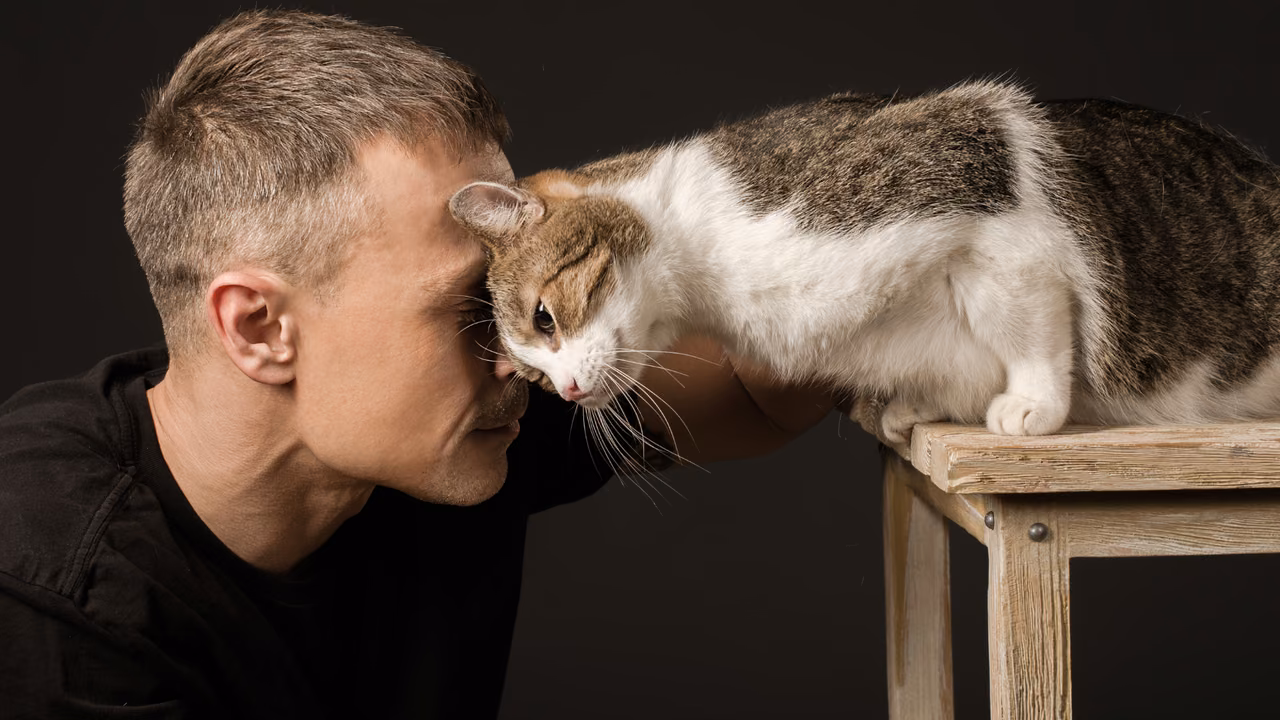 Man touching foreheads with his cat, ESA letter in Gainesville, FL