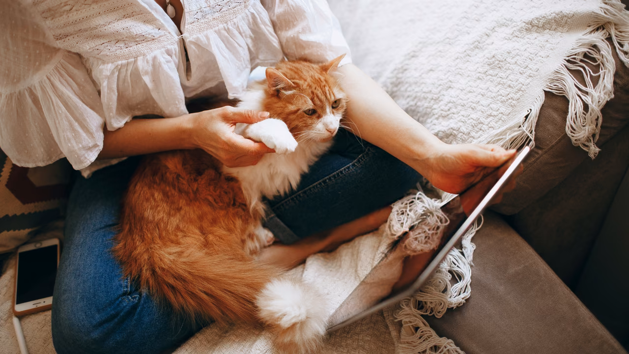 Woman relaxing on the sofa with her ginger cat, ESA letter in Green Bay, WI