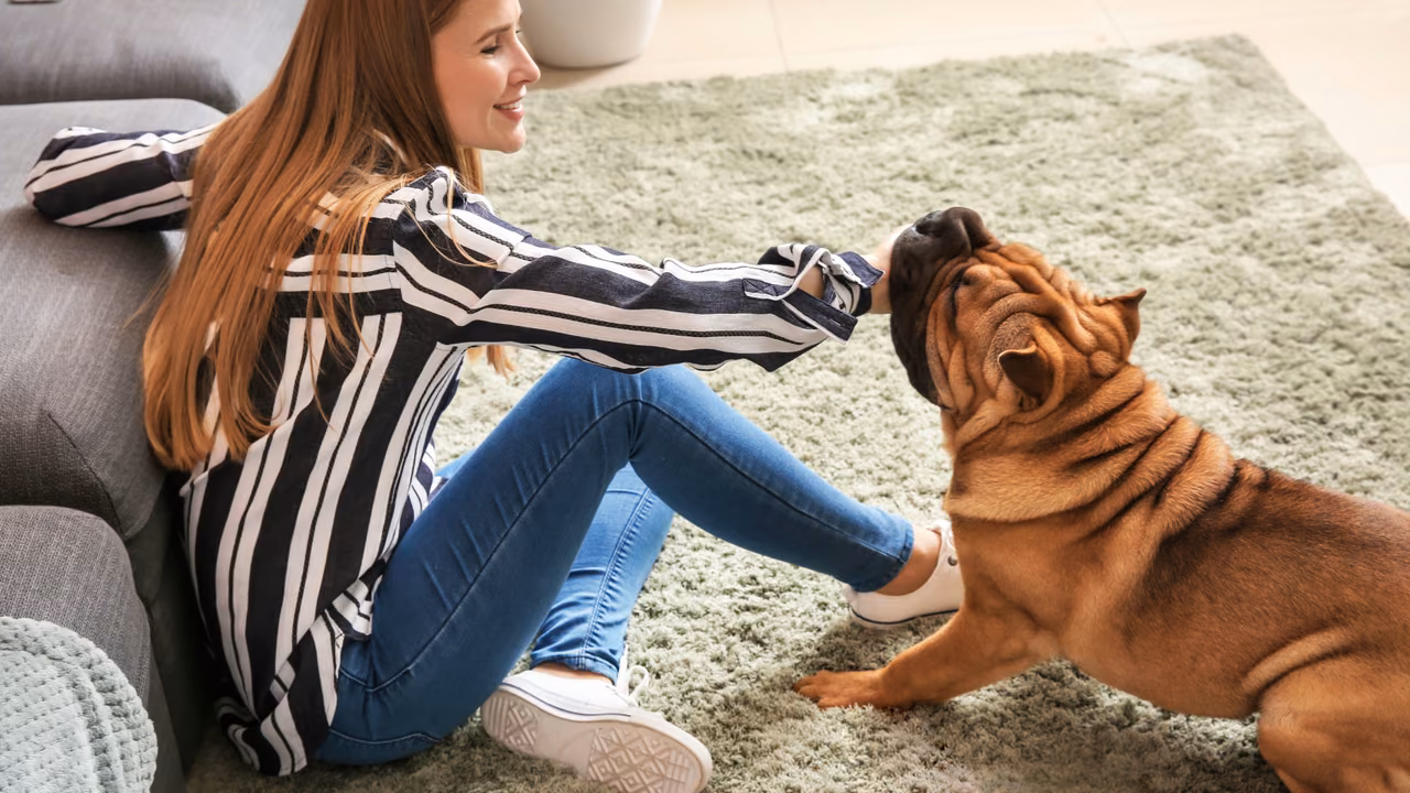 Woman playing with her shar-pei on the rug, ESA letter in Greensboro, NC