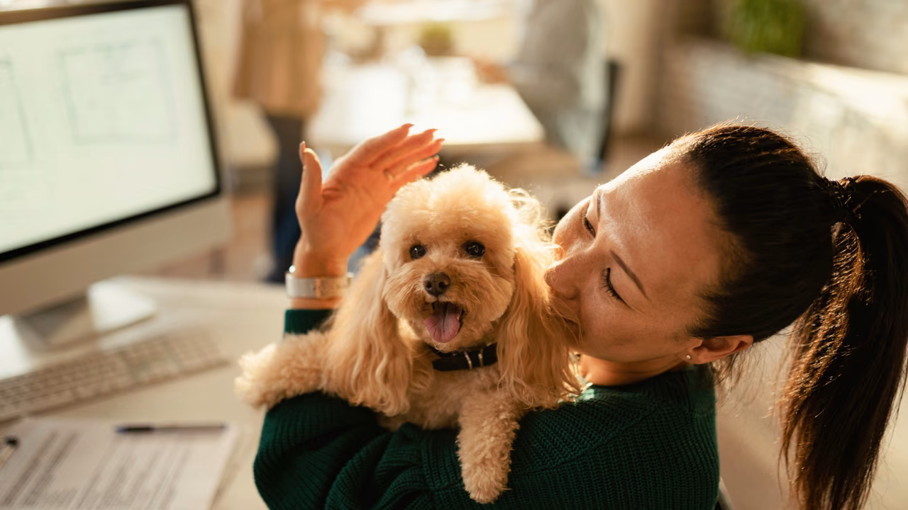 Woman kissing her toy poodle at her desk, ESA letter in Hialeah, FL