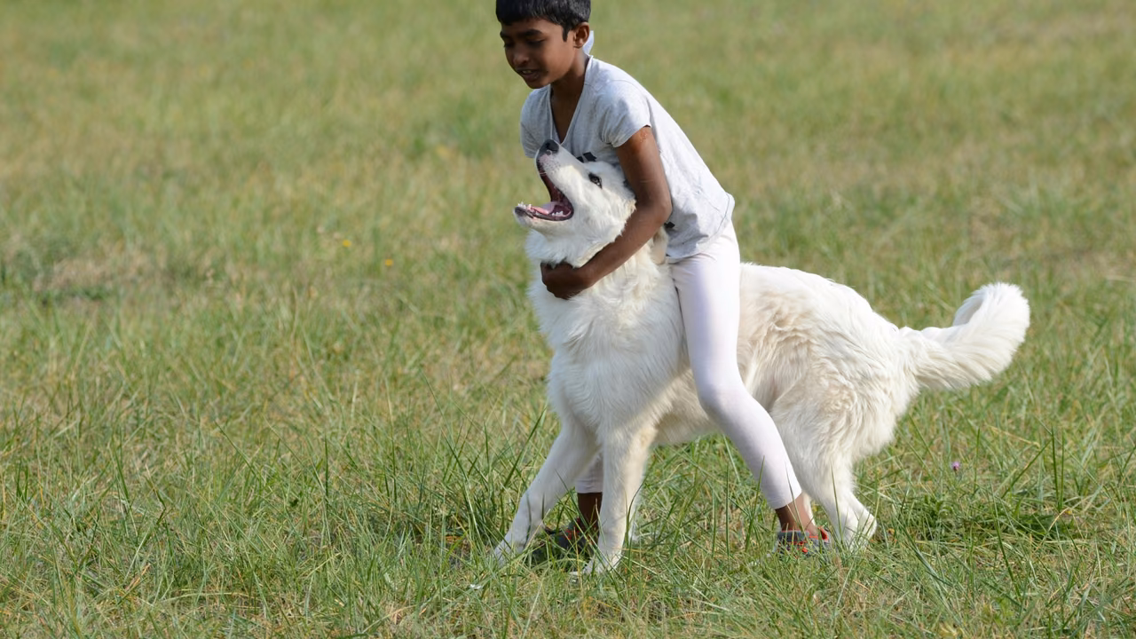 Boy hugging a white dog on the lawn, ESA letter in Huntington Beach, CA