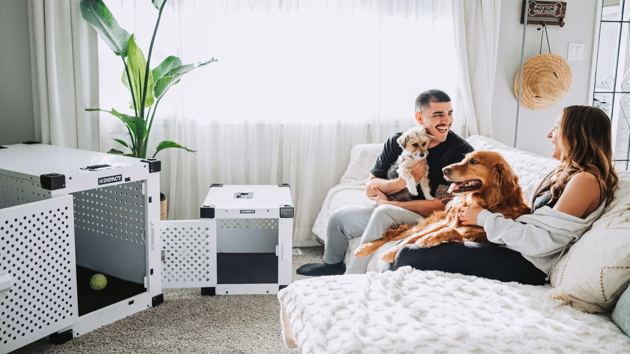 Couple on the sofa at home with their dogs, ESA letter in Illinois