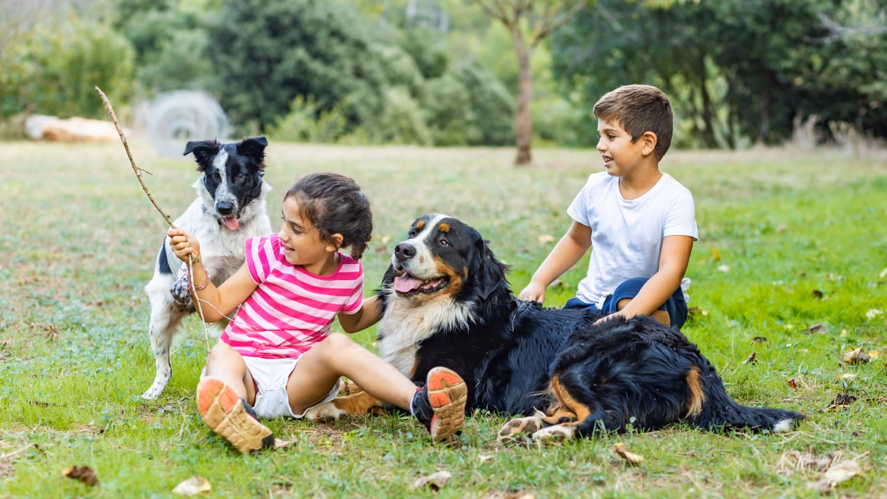 Children playing with two dogs in a park, ESA letter in Little Rock, AR