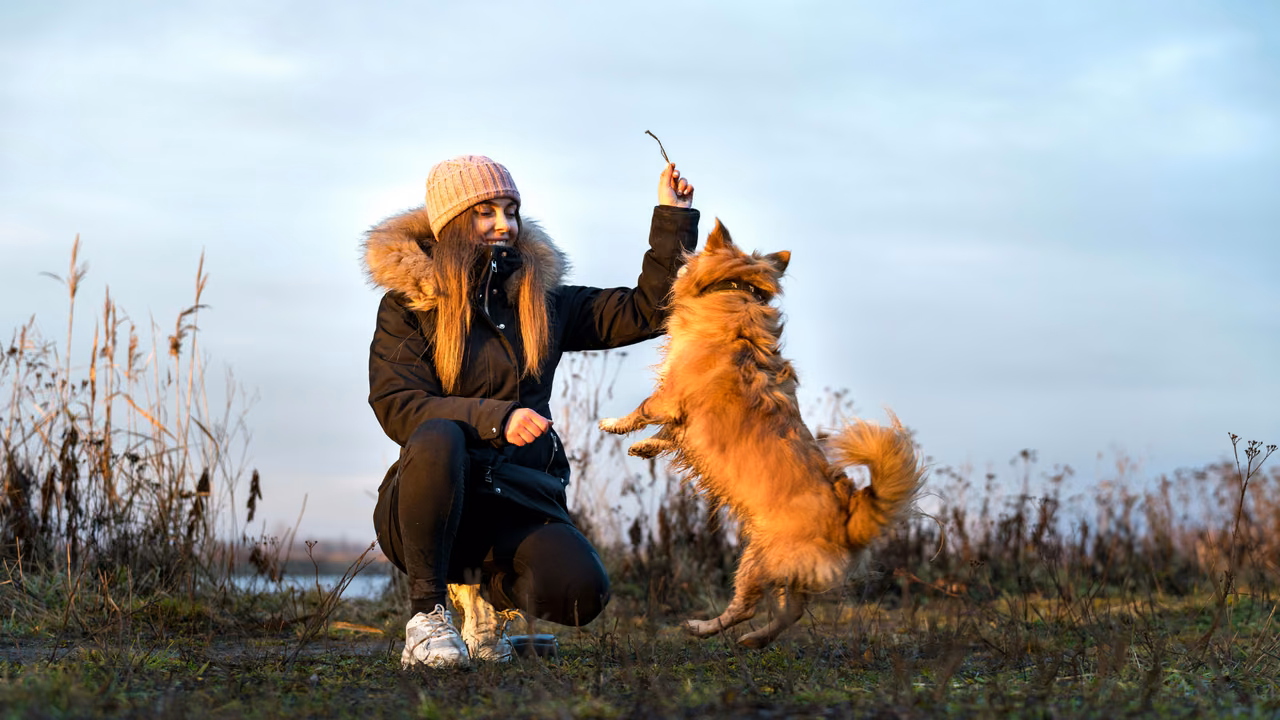 Woman playing with her small dog by a lake, ESA letter in Massachusetts