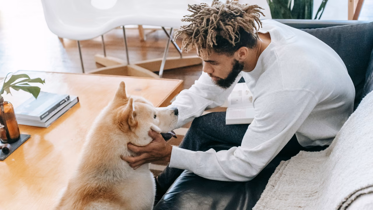 Man petting his Shiba Inu in the living room, ESA letter in Miami, FL