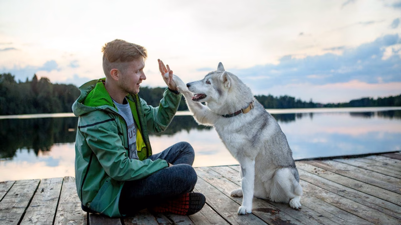 Young man giving his husky a high five on a lake dock, ESA letter in Minnesota