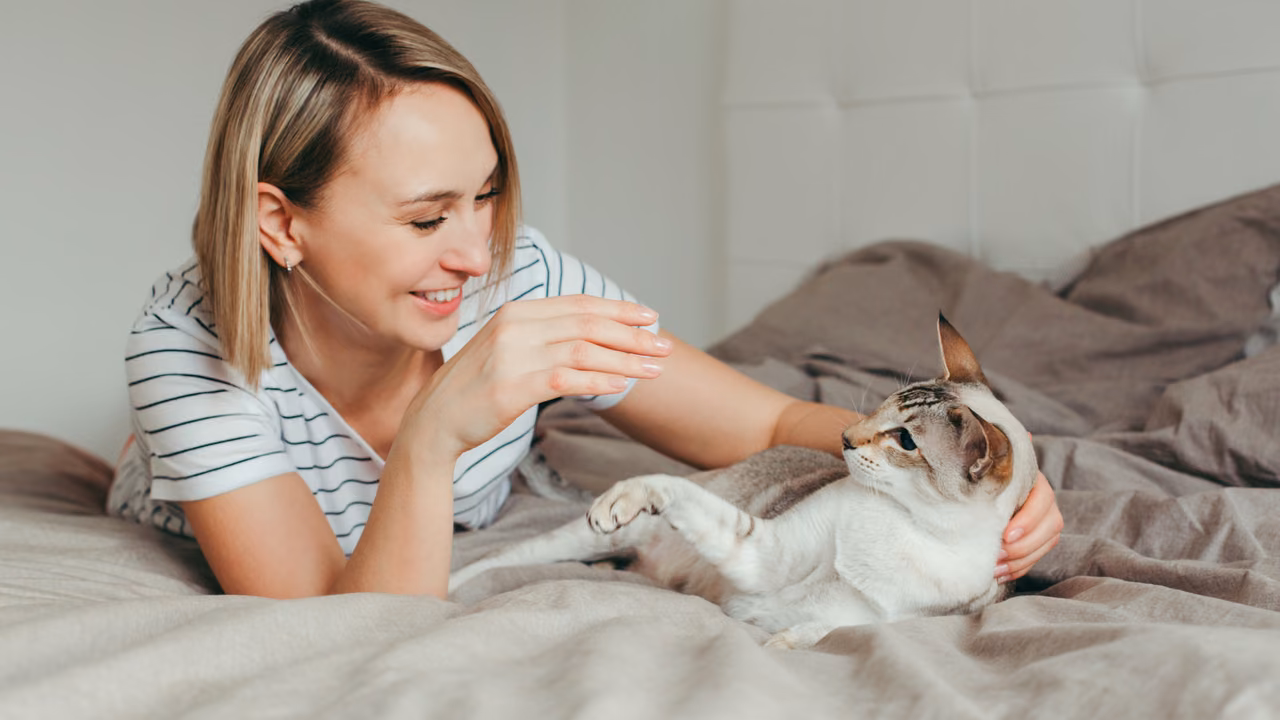 Woman playing with her cat on the bed, ESA letter in New Haven, CT