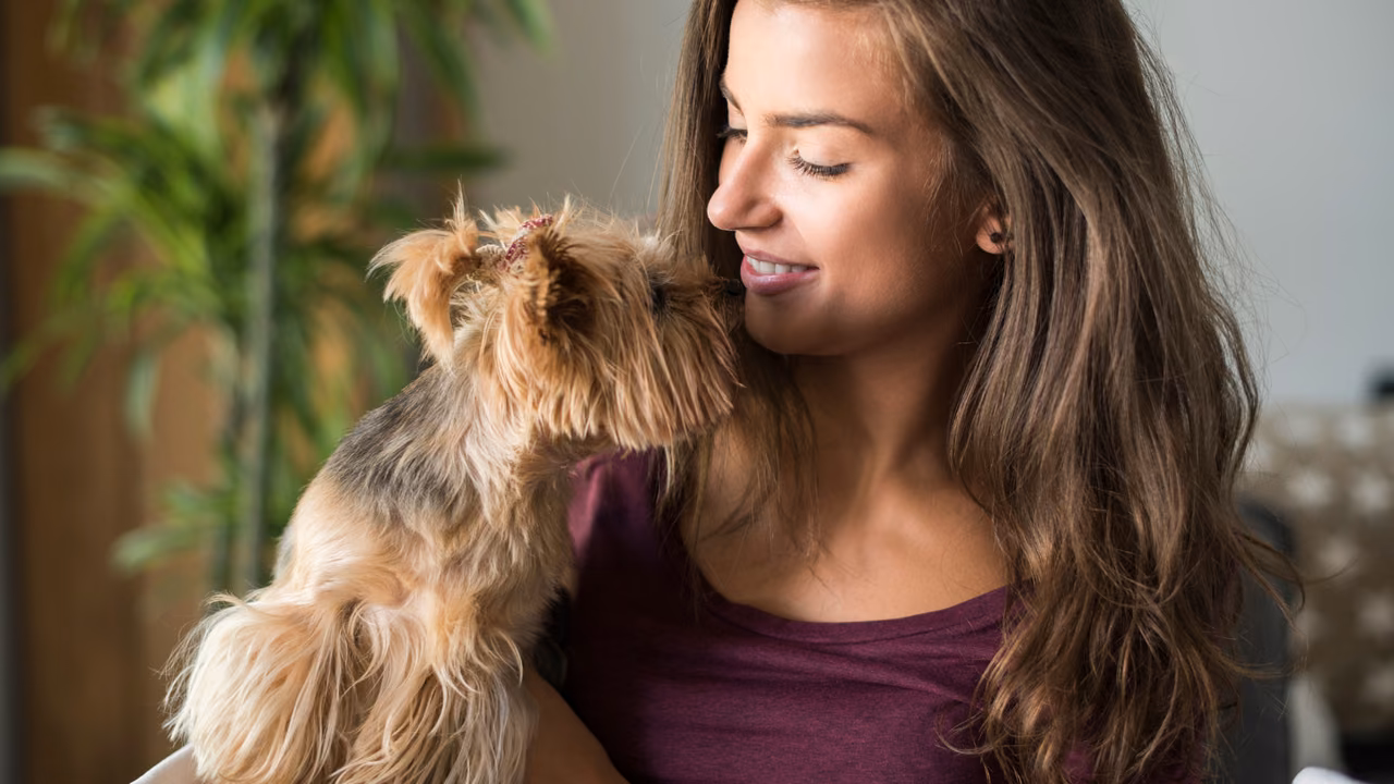 Woman cuddling her Yorkshire terrier, ESA letter in Oklahoma City, OK