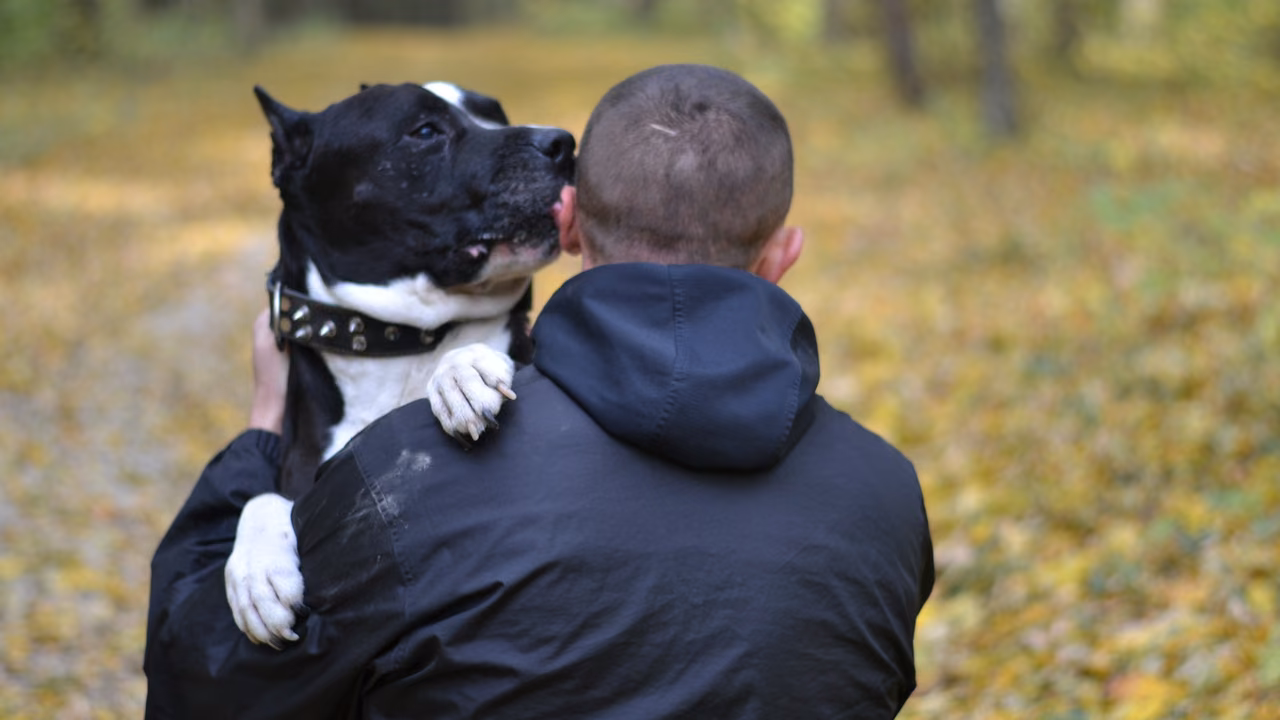 Dog resting its paws on its owner's shoulders, ESA letter in Oxnard, CA