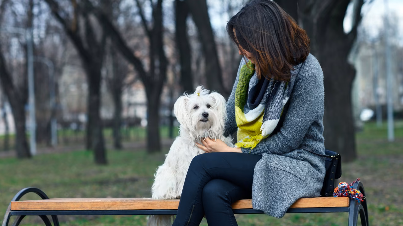 Woman on a park bench with her small white dog, ESA letter in Reno, NV