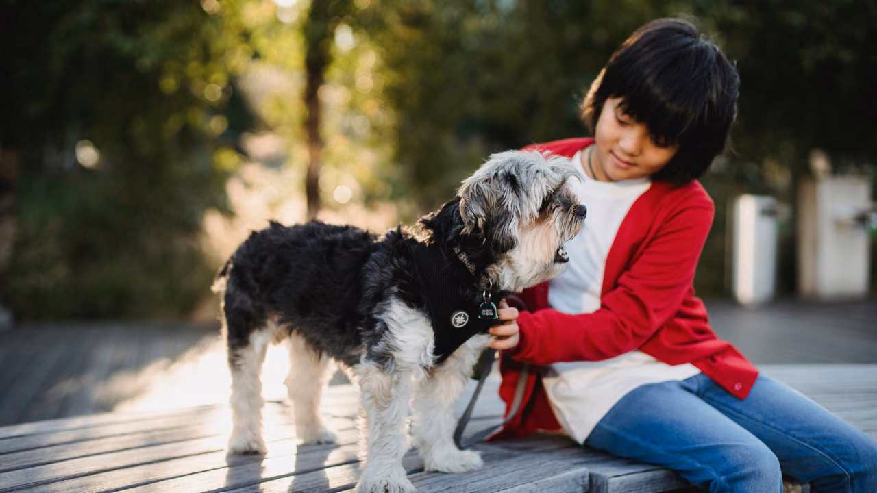 Girl hugging a fluffy dog on a bench, ESA letter in Riverside, CA