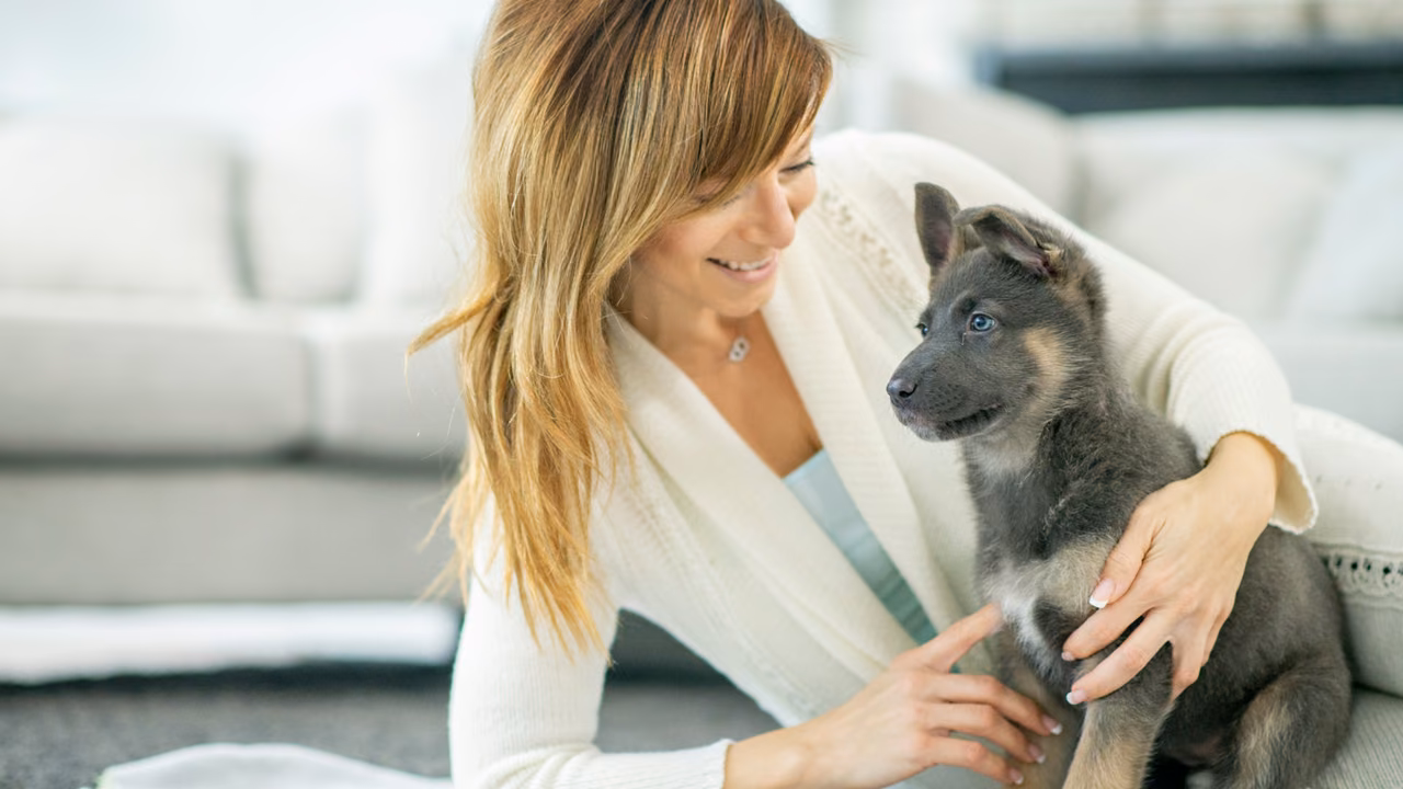 Woman cuddling a grey puppy at home, ESA letter in Rochester, NY