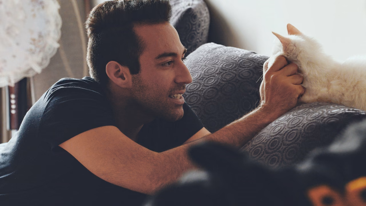 Man playing with his cat on the sofa, ESA letter in Rockford, IL