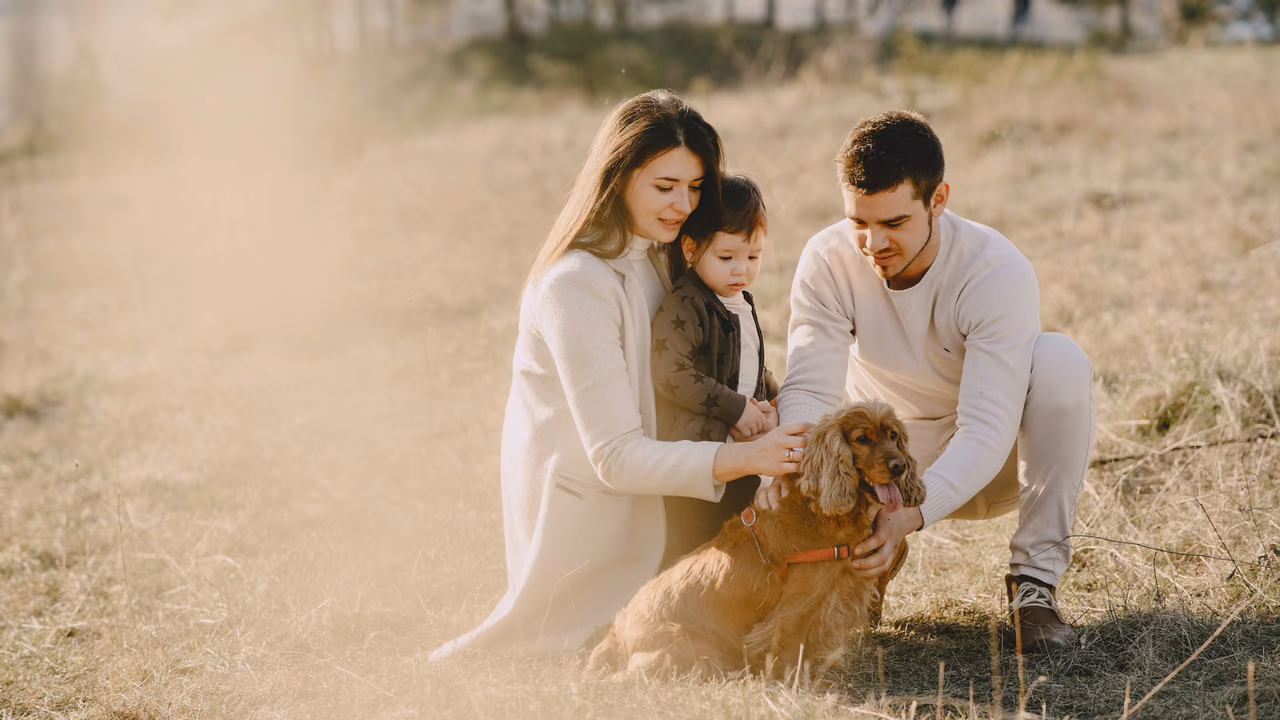 Young family with their spaniel in a field, ESA letter in Sacramento, CA