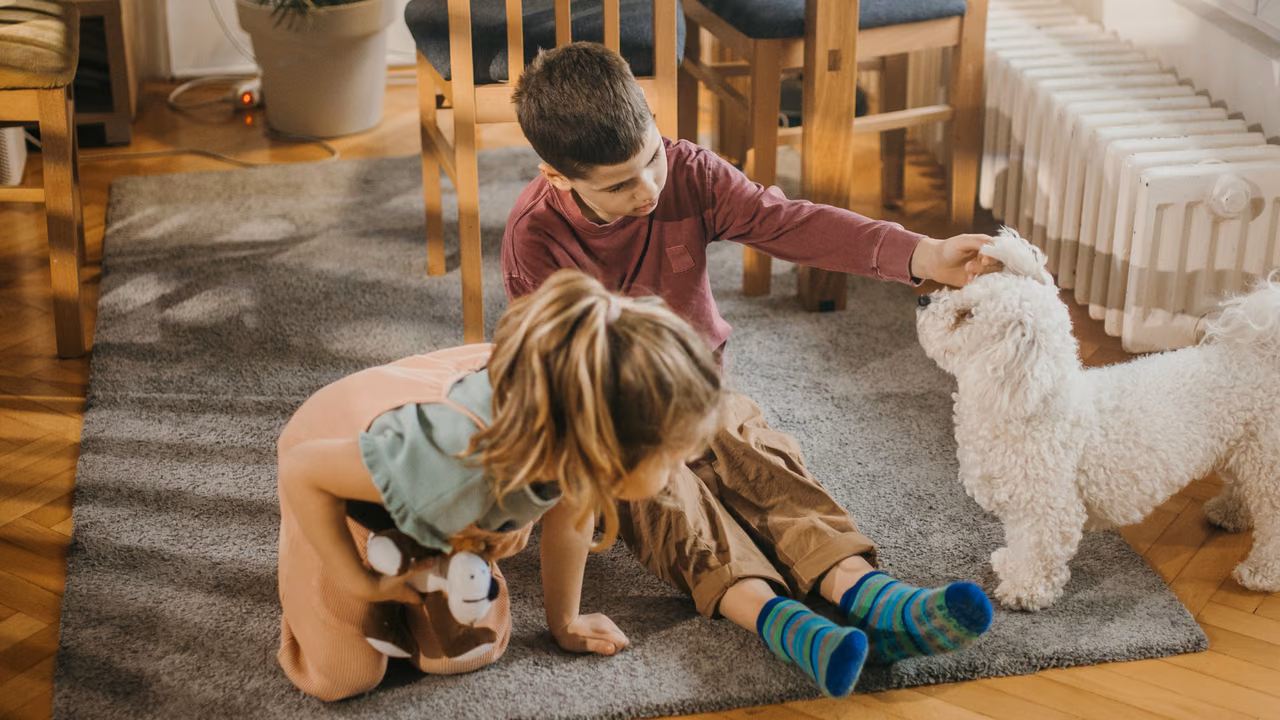 Children playing with a small white dog at home, ESA letter in Salt Lake City, UT