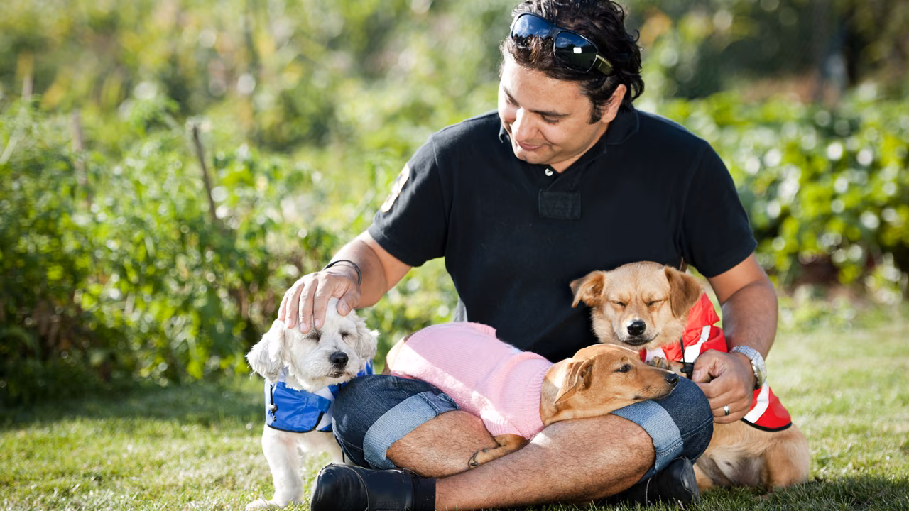 Man sitting on the grass with three small dogs, ESA letter in Santa Ana, CA