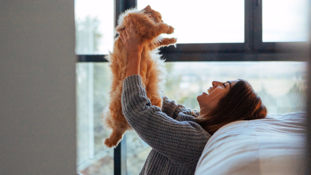 Woman lifting her cat up at home, ESA letter in Santa Fe, NM