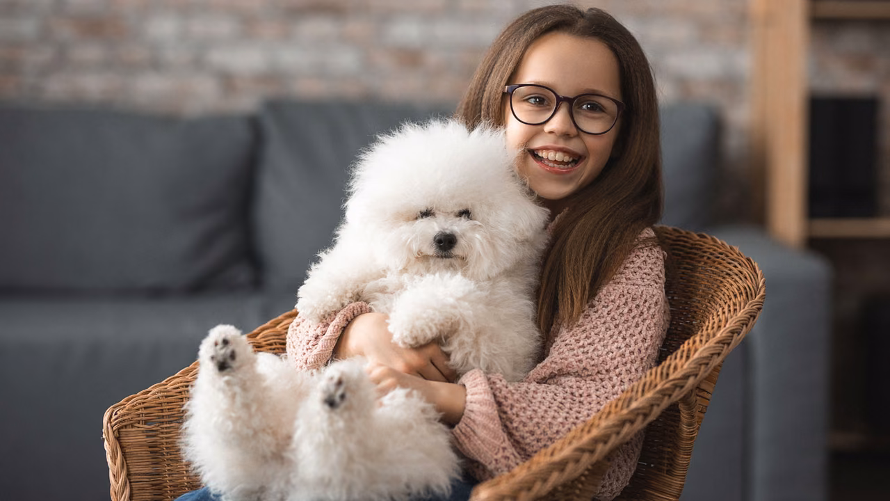 Girl holding her fluffy white bichon, ESA letter in South Dakota