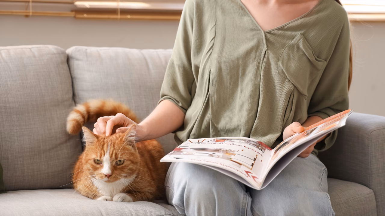 Woman reading with her ginger cat beside her on the sofa, ESA letter in Stamford, CT