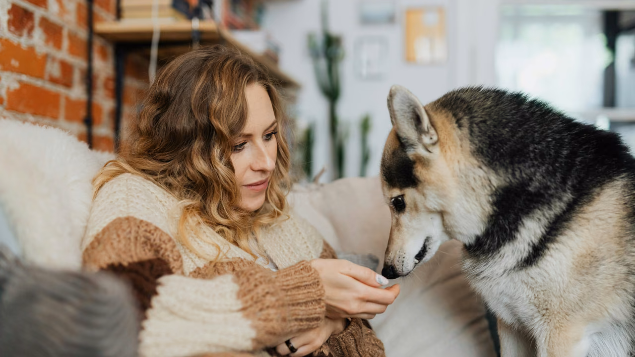 Woman sharing a snack with her husky on the sofa, ESA letter in Tampa, FL