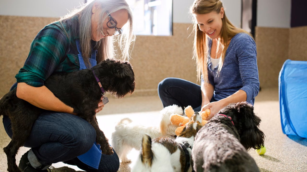Women playing with dogs indoors, ESA letter in Tulsa, OK