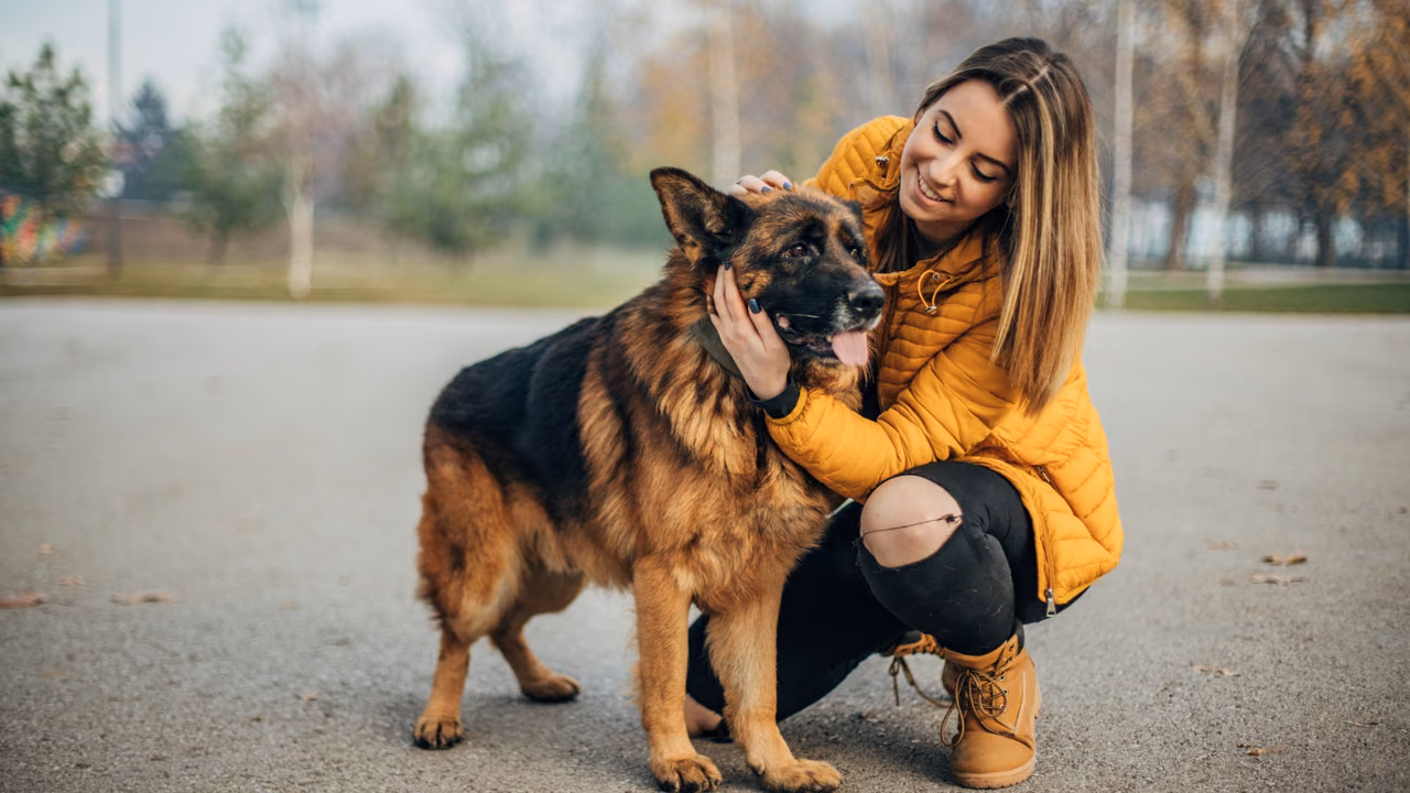 Woman kneeling beside her German shepherd on a city street, ESA letter in Washington, DC