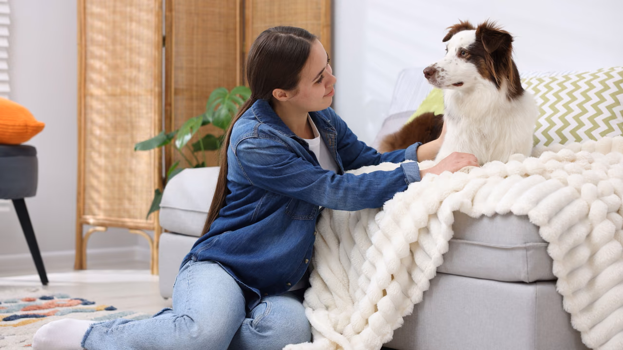 Teen girl petting a collie on the sofa, ESA letter in Wichita, KS