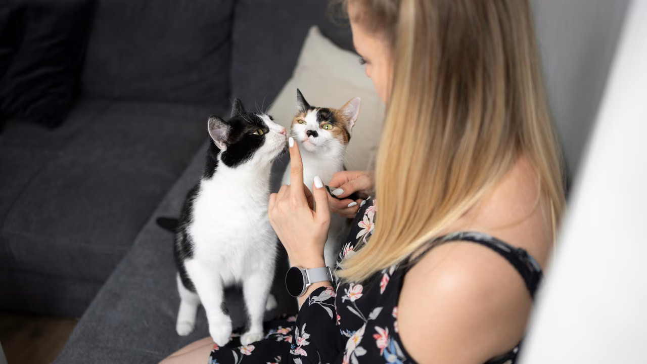 Woman nuzzling her two cats on the sofa, ESA letter in Wilmington, DE
