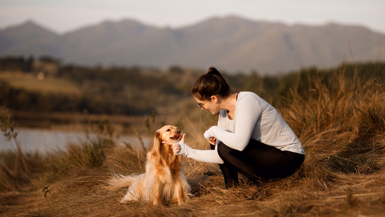 Woman with her spaniel in a meadow at sunset, ESA letter in Winston-Salem, NC