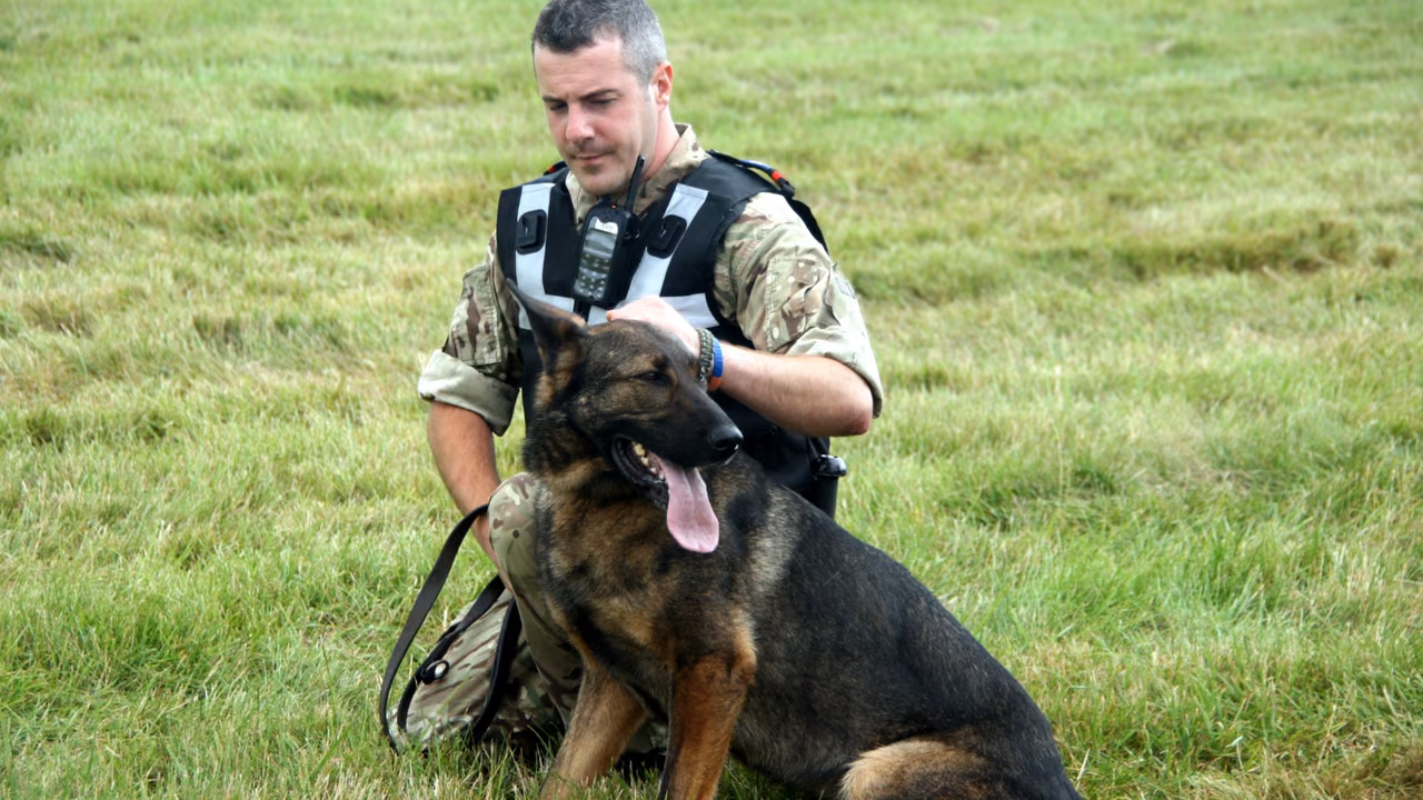 Veteran kneeling on the grass with his German shepherd, PSD letter in Colorado