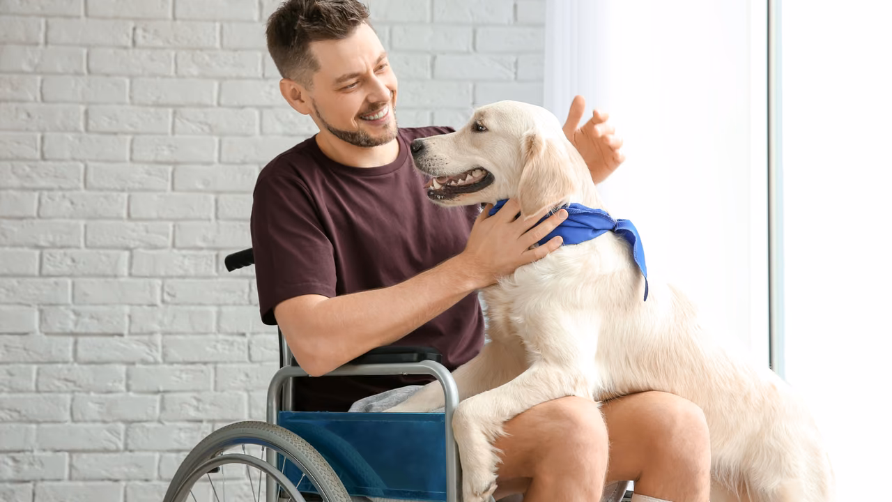 Man in a wheelchair hugging his golden retriever service dog, PSD letter in Delaware