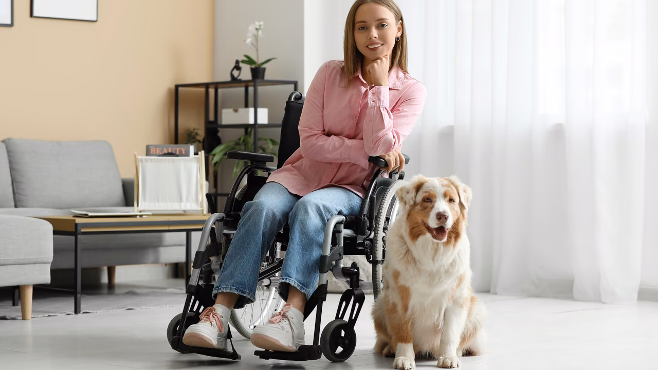 Woman in a wheelchair at home with her Australian shepherd, PSD letter in Michigan