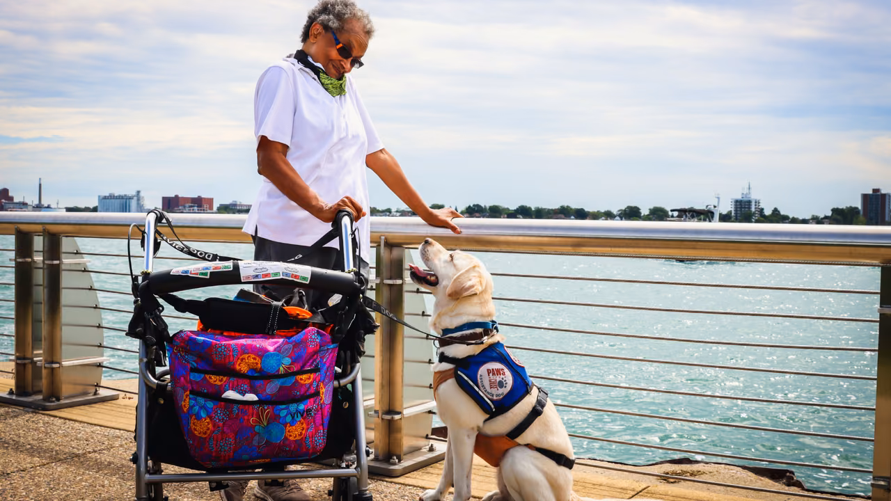 Older man with a walker and his service dog by the waterfront, PSD letter in Pennsylvania